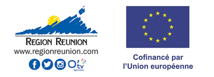 logos-de-la-Region-et-de-lEurope-1