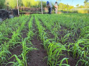 480798249_1323796072158903_2646944410213465066_n