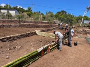 Réalisation des fascines en bambous