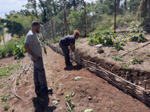 Réalisation de fascine en bois de goyavier