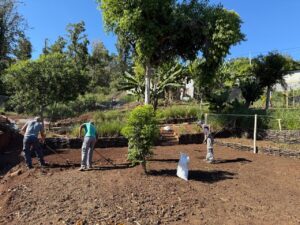 Préparation des premières parcelles pour la plantation du riz