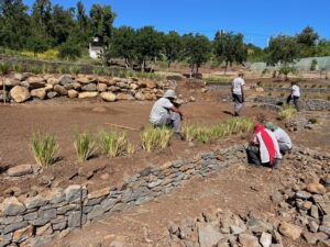 Montage de muret en moellon à sec