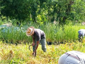 Atelier et Chantier d’Insertion (ACI)