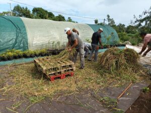 489833272_1352657139272796_7384919289242919073_n